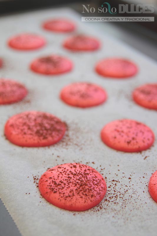 No solo dulces - Macarons perfectos chocolate frambuesa elaboracion